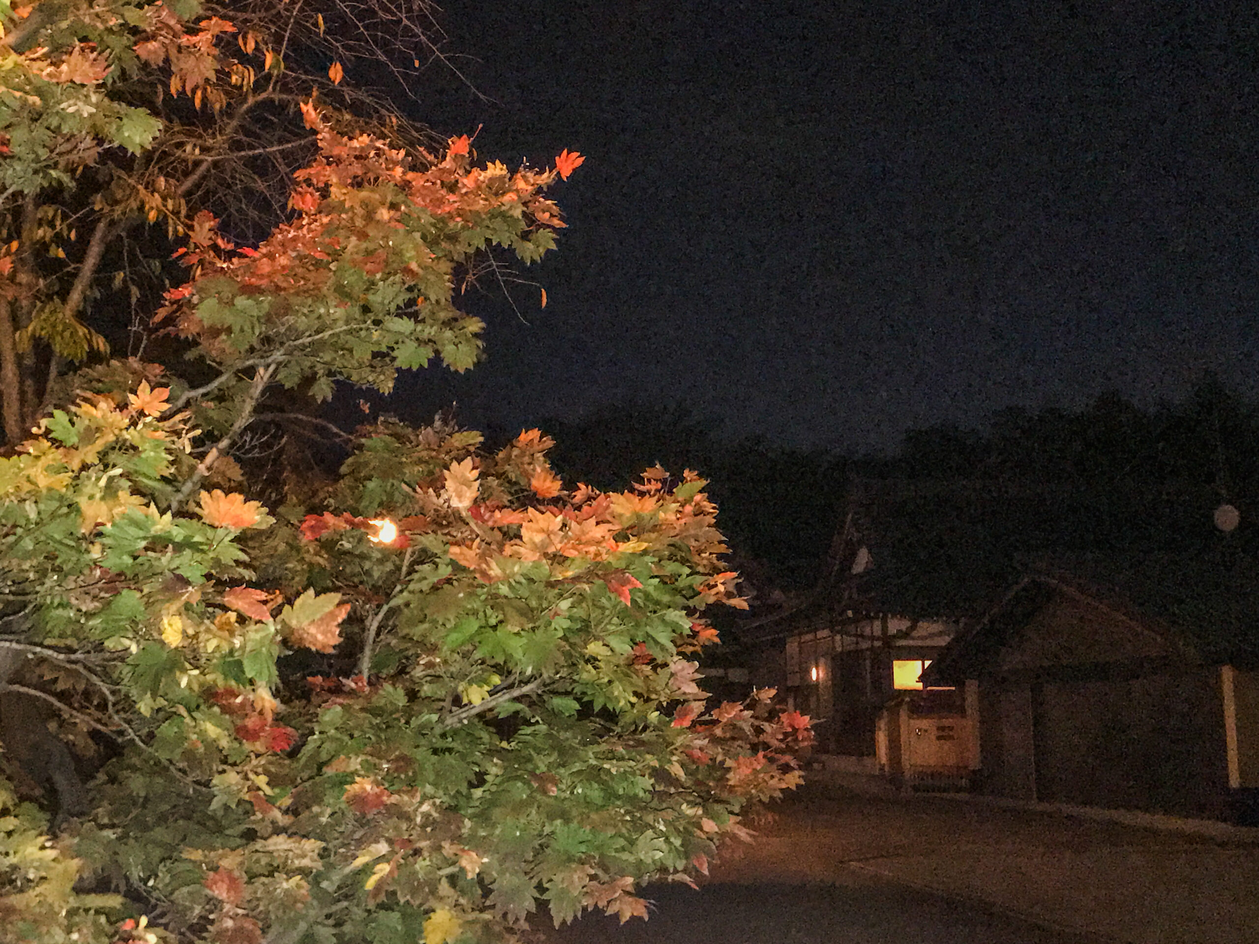 境内と寺宝 | 日蓮宗 長誓山 妙顕寺（新曽妙顕寺）‐埼玉県 戸田市